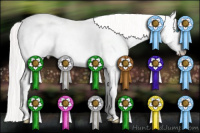 Horse Color:White Spotted Cremello Dun