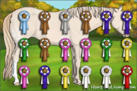 Horse Color:White Spotted Perlino 