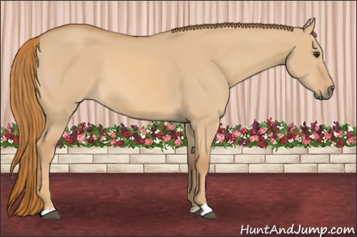 Horse Color: Red Dun Sabino 