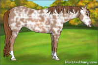 Horse Color:Chestnut Ice 