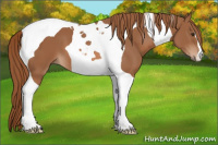 Horse Color:Chestnut Tobiano