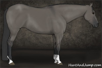 Horse Color:Grullo Tobiano Rabicano