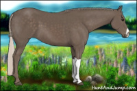 Horse Color:Silver Black 