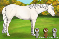 Horse Color:Palomino Pearl Dun Splash Rabicano 