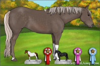 Horse Color:Silver Black Tobiano 