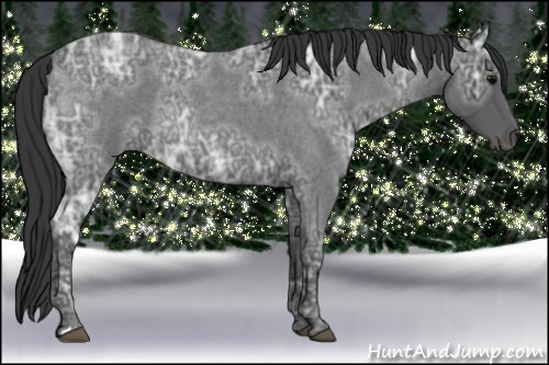 Horse Color: Blue Ice Roan 