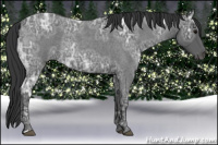 Horse Color:Blue Ice Roan 