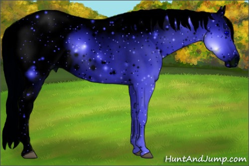 Horse Color: ERROR: UNKNOWN ANOMALY