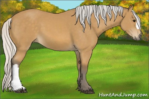 Horse Color: Silver Buckskin 