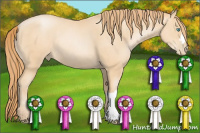 Horse Color:Buckskin Pearl Rabicano 