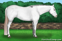 Horse Color:Red Roan Near Leopard Rabicano 