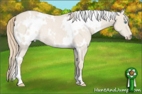Horse Color:White Spotted Smoky Creme Dun Rabicano 
