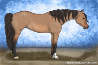 Horse Color:Bay Dun