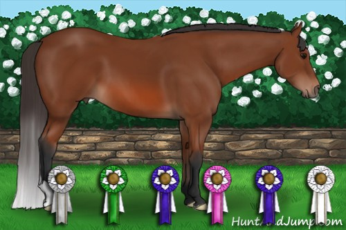 Horse Color: Bay 