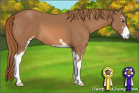 Horse Color:Chestnut Sabino