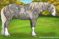 Horse Color:Buckskin Ice Pearl Splash 