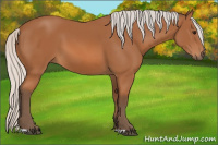 Horse Color:Silver Bay 