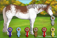 Horse Color:White Spotted Silver Bay Sabino 