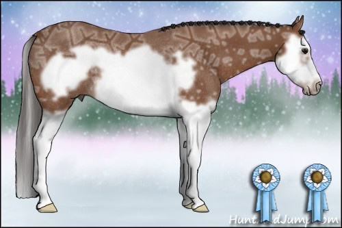 Horse Color: Bay Ice Splash Frame Rabicano 