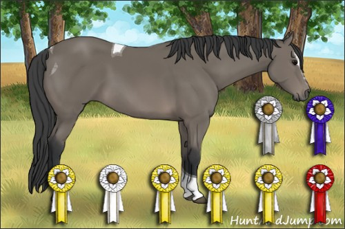 Horse Color: Black Sabino Tobiano 