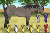 Horse Color:Black Sabino Tobiano 