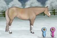 Horse Color:Silver Grullo Sabino Splash 
