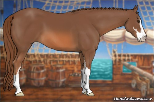 Horse Color: Liver Chestnut Sabino 