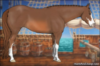 Horse Color:Liver Chestnut Sabino 
