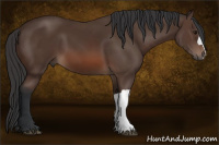 Horse Color:Brown 
