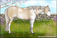 Horse Color:Silver Brown Pearl Dun Sabino 