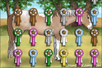 Horse Color:Black Pearl Sabino Splash Tobiano