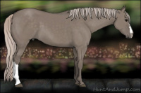 Horse Color:Silver Grullo 