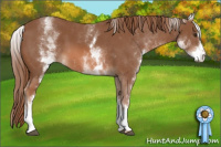 Horse Color:White Spotted Chestnut Sabino