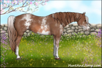 Horse Color:White Spotted Chestnut Sabino