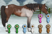 Horse Color:Bay Sabino Tobiano