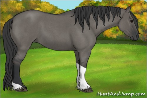 Horse Color: Grullo Roan Tobiano 