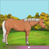 Horse Color:Silver Bay 
