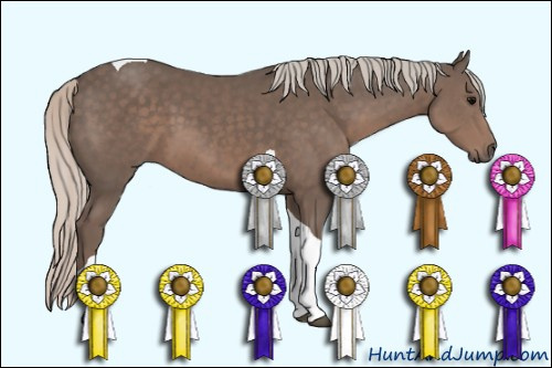 Horse Color: Silver Black Tobiano 