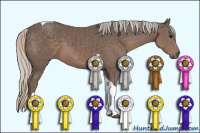 Horse Color:Silver Black Tobiano