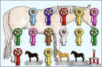 Horse Color:White Spotted Silver Classic Champagne Dun 