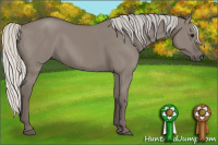 Horse Color:Silver Smoky Grullo 