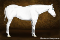 Horse Color:Perlino Roan Dun Blanket 