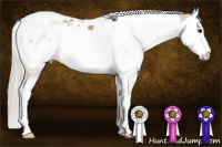 Horse Color:Silver Grullo Splash Tobiano 