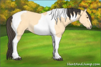 Horse Color:Buckskin Dun Tobiano