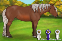 Horse Color:Silver Bay Rabicano 