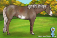 Horse Color:Silver Brown Sabino Frame 