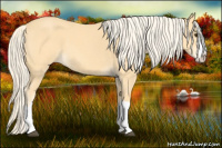 Horse Color:Palomino Roan Splash 