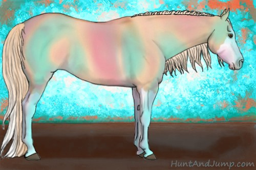 Horse Color: Palomino Roan Dun Splash 