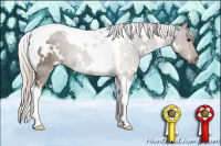 Horse Color:White Spotted Silver Black Tobiano 