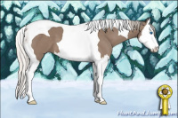Horse Color:Silver Black Splash Tobiano 